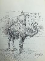 Provence-The Circus Camel by Alan  Cotton